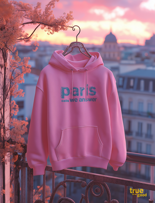 Paris calls 🇫🇷✨ - Customs Available